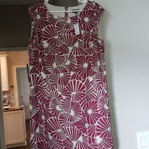 The Limited Dress